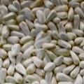 Safflower Seeds