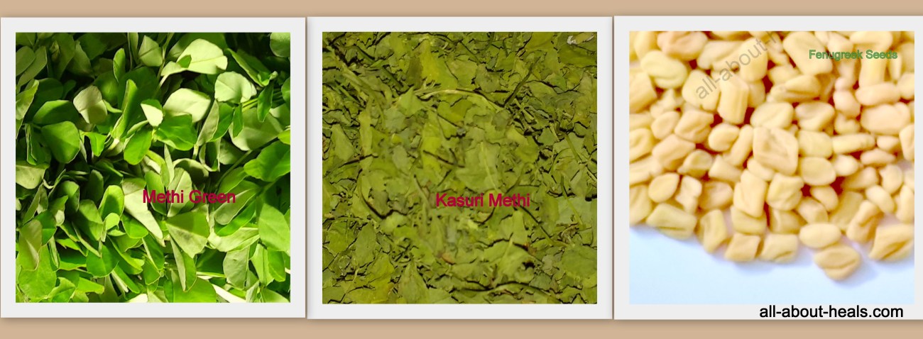 Fenugreek / Methi