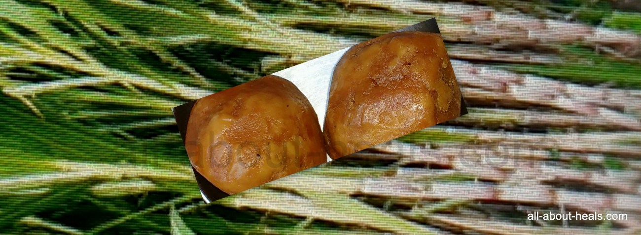 Cane Jaggery