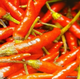 Red Chili